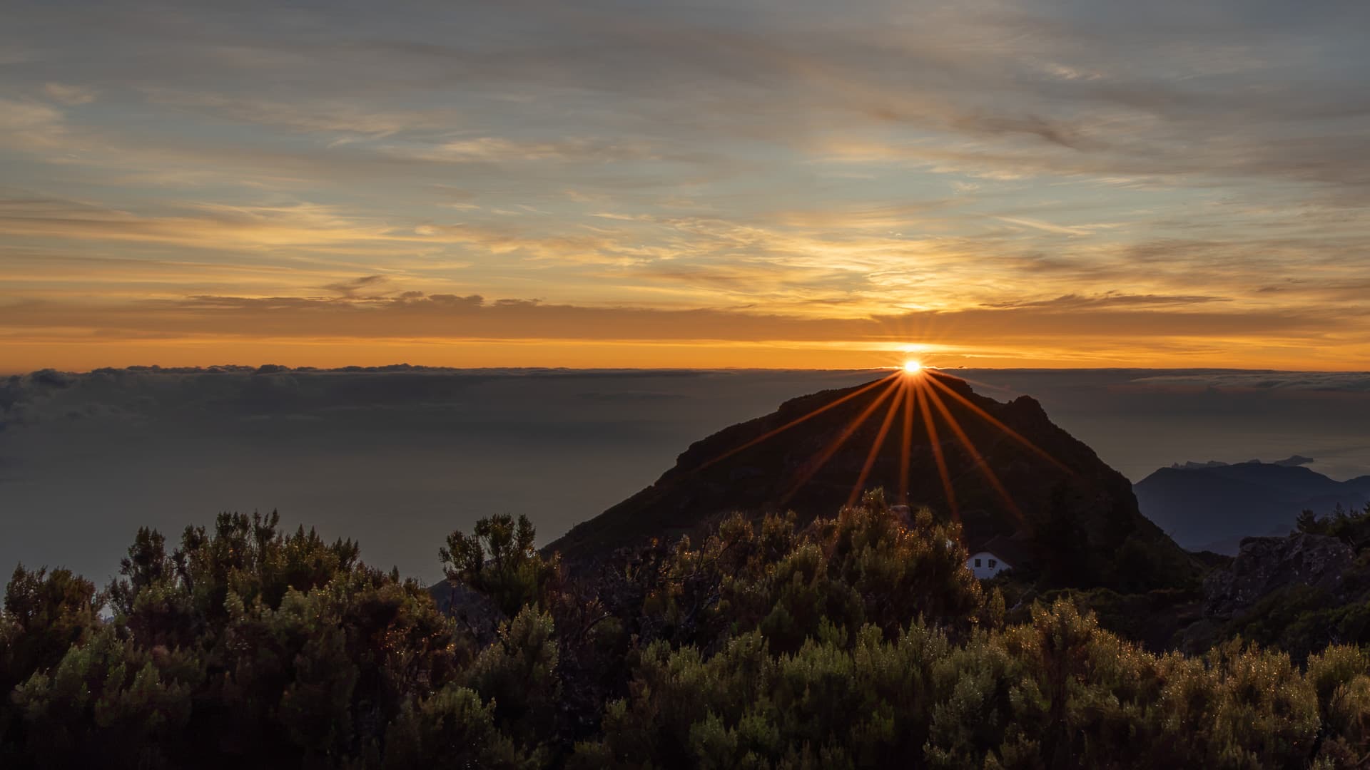 Sunburst rising over a mountain ridge at sunset, golden sky above a sea of clouds with low shrubs in the foreground