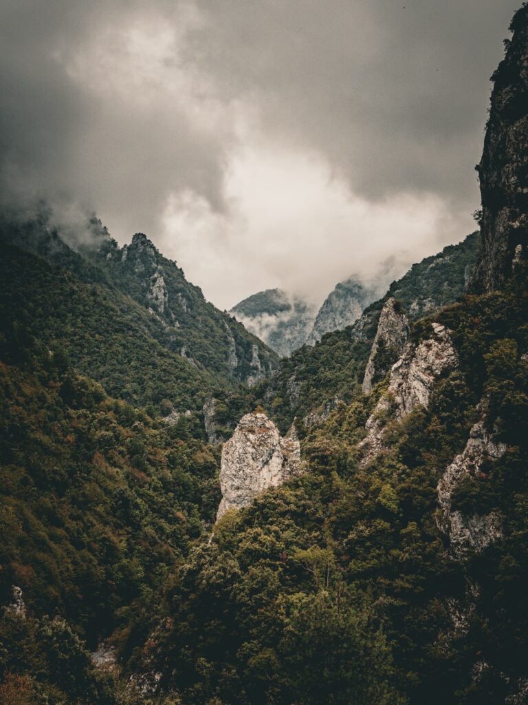 Forested mountain valley with rocky outcrops under a cloudy, overcast sky